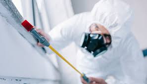 Best Pest Control for Restaurants and Food Service  in Citrus Springs, FL